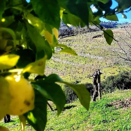 Do Rei Horská chata *