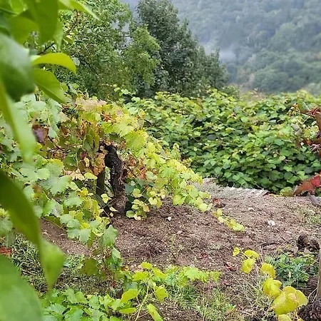 Do Rei Horská chata *