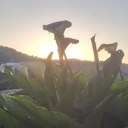 Do Rei Horská chata *