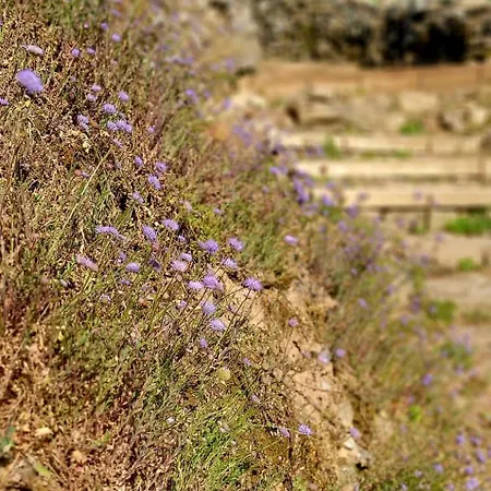 Do Rei Horská chata Betan