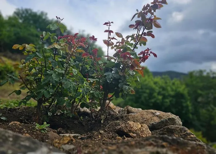 Do Rei Alpesi faház