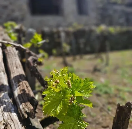 Do Rei Alpesi faház *