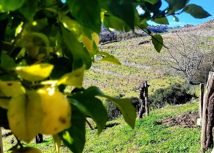 Do Rei Alpesi faház *