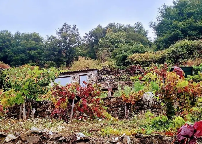 Do Rei Alpesi faház *