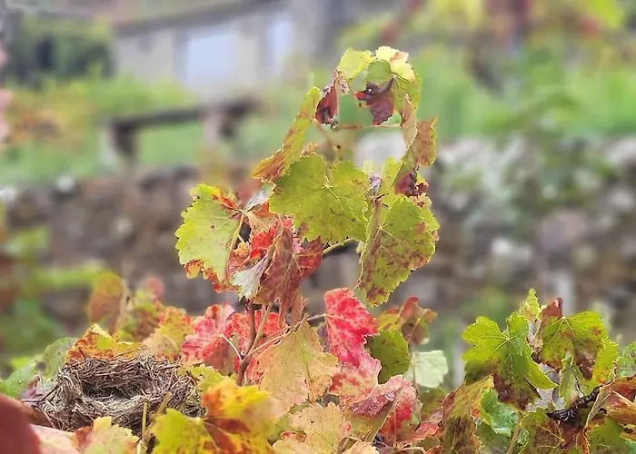 Alpesi faház Do Rei Betan