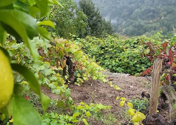 Do Rei Alpesi faház *