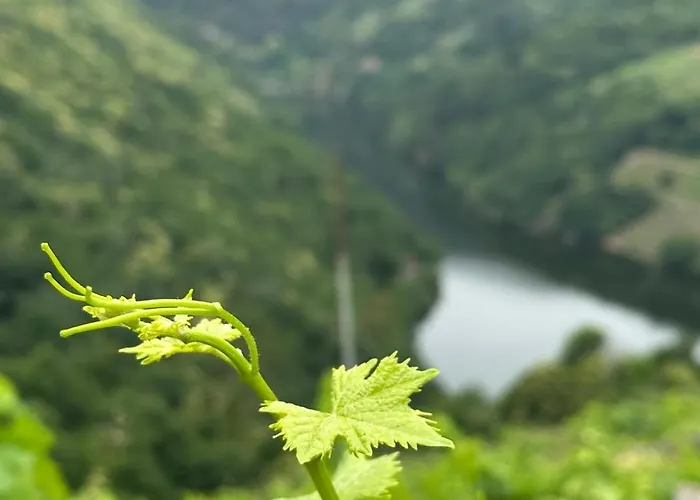 Alpesi faház Do Rei