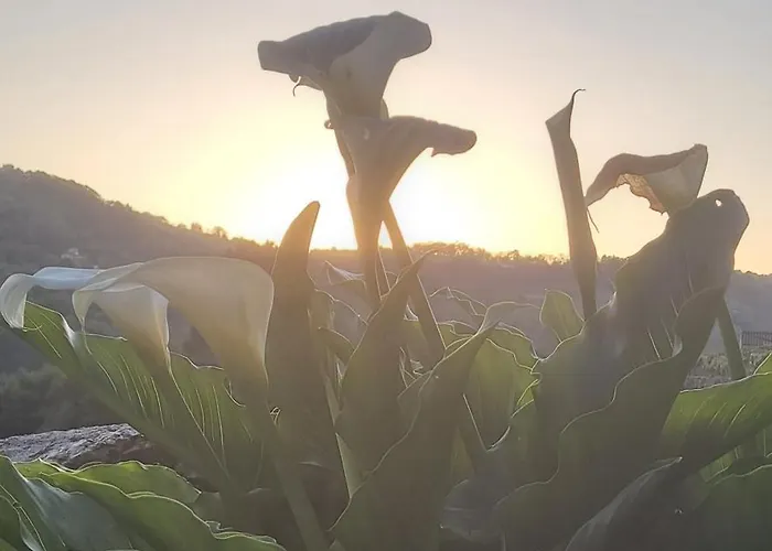 Do Rei Alpesi faház *