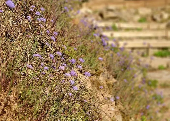 Do Rei Alpesi faház Betan